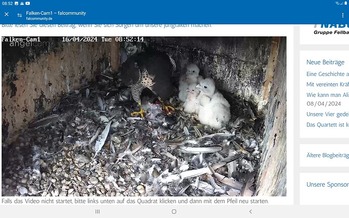 Screenshot_20240416-085234_Chrome