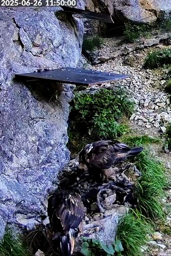 Screenshot_2025-06-26-11-50-57-443_com.android.chrome