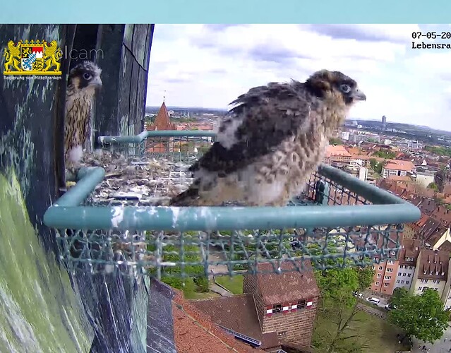 Screenshot_20230507-141326~2