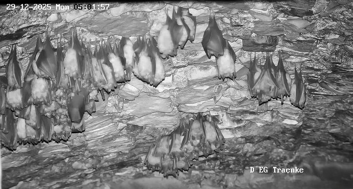 2025-12-29 ab 05.00_1