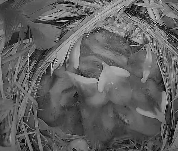 Screenshot_20230501-175138_Samsung Internet