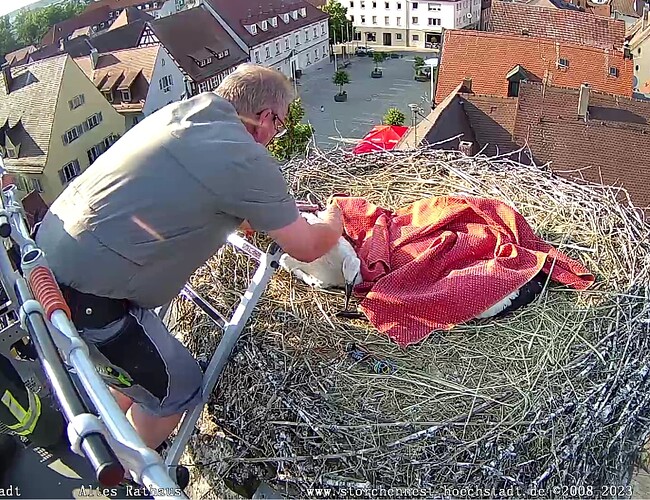 Screenshot_20230607-184316~2