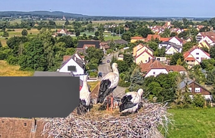 Screenshot_2024-06-18-09-02-50-959_com_1718694323332.android.chrome