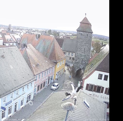 Bild
