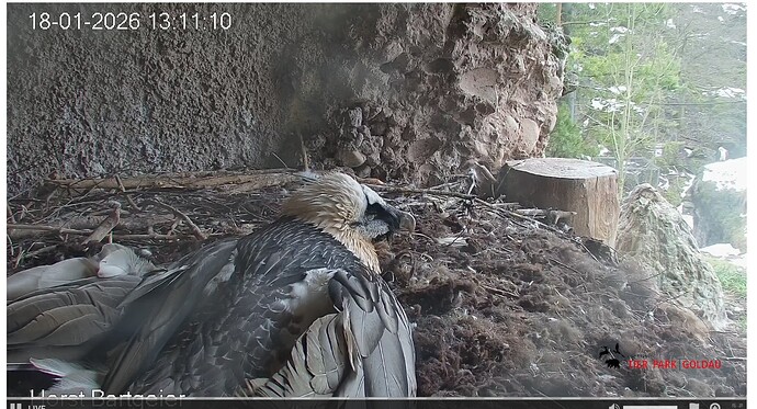 Screenshot_20260118-131214~2