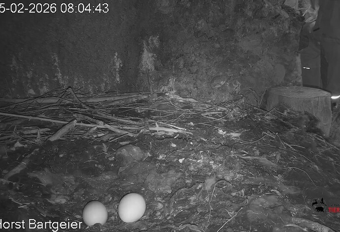 Screenshot_2026-02-05-08-05-43-698_com.android.chrome