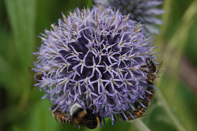 DSC02391