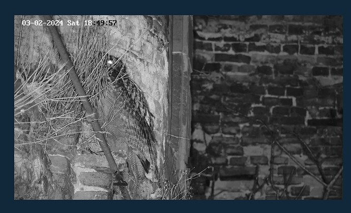 Screenshot_20240203_185011_Chrome~2