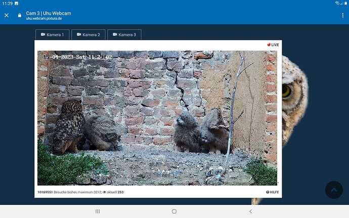 Screenshot_20230415-112918_Chrome