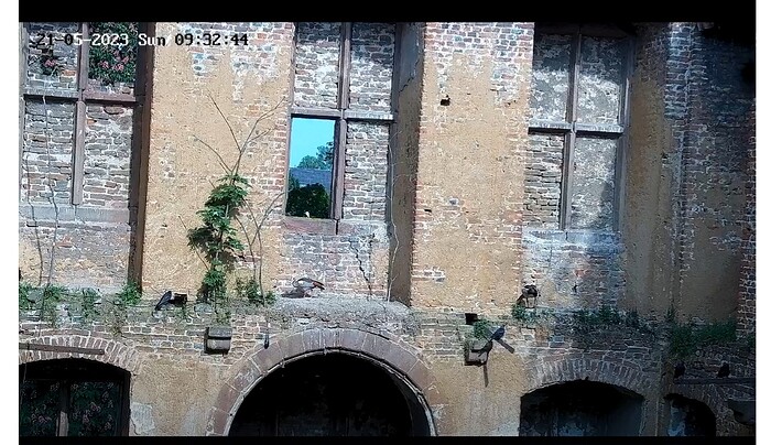 Screenshot_20230521_093308_Samsung Internet