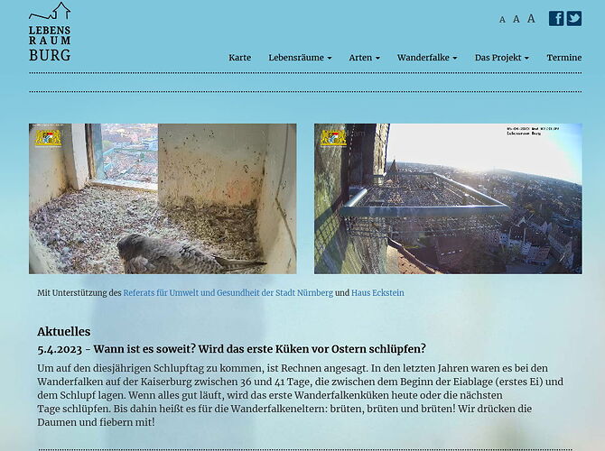 Snap_2023.04.05_07h33m40s_004_