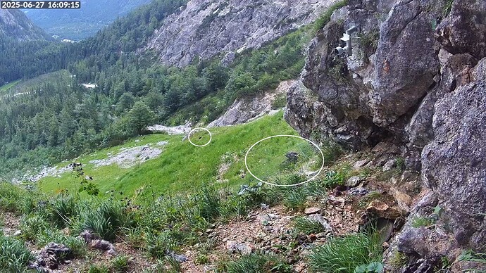 Bildschirmfoto vom 2025-06-27 16-09-50