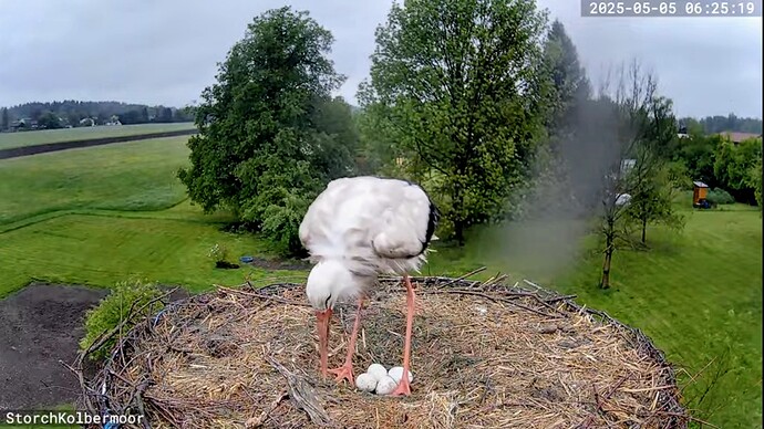 Screenshot_2025-05-05-07-13-14-315_com.google.android.youtube