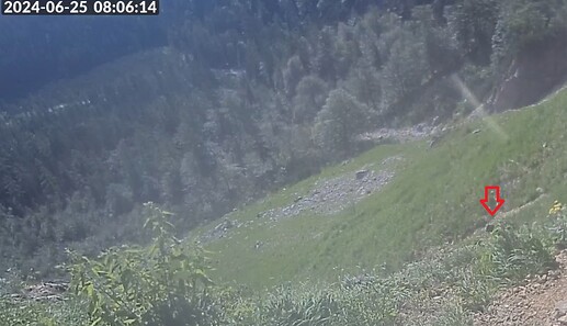 Snap_2024.06.25_08h06m42s_001_