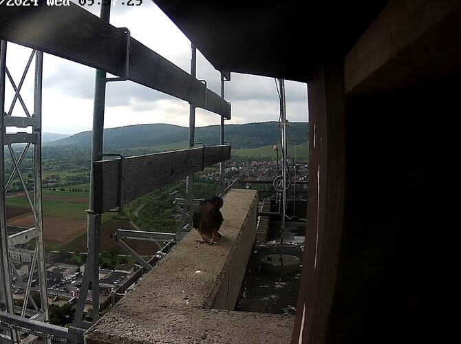 Screenshot_20240508_093749_Chrome