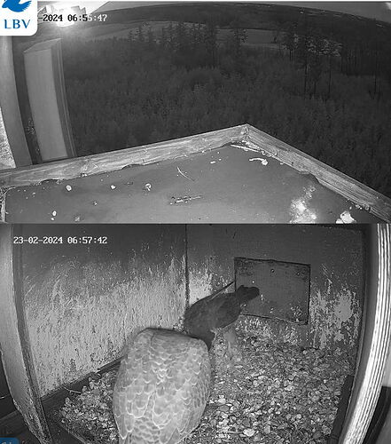 Snap_2024.02.23_06h54m42s_005_