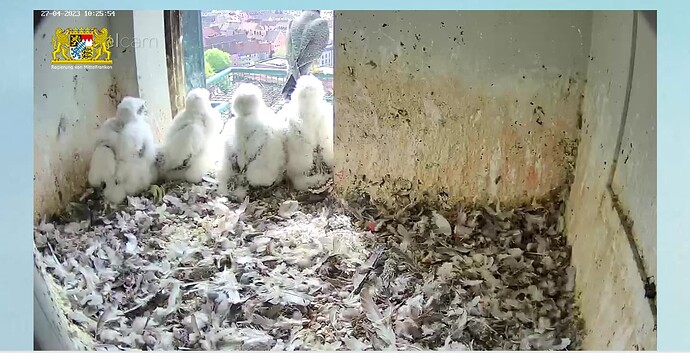 Screenshot_20230427-102620~2