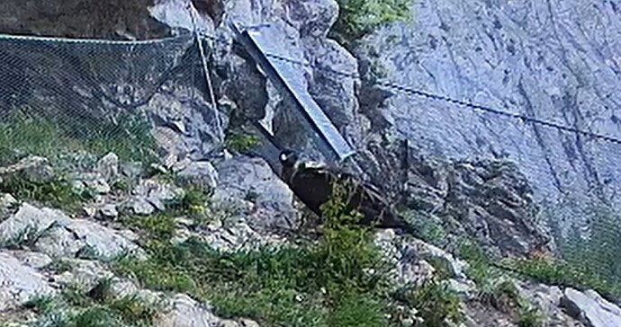 L. Abendessen 14.06.25