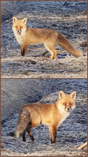 20260313_125231-COLLAGE
