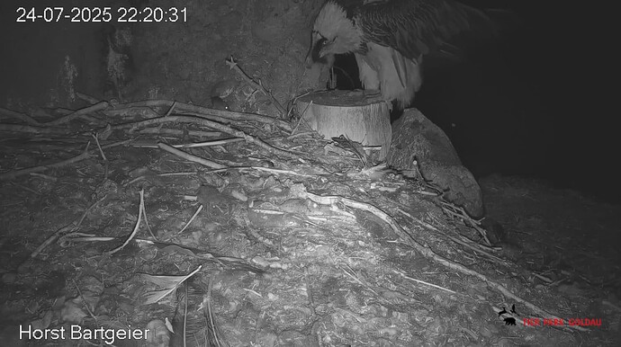 Screenshot_20250724-222142~2