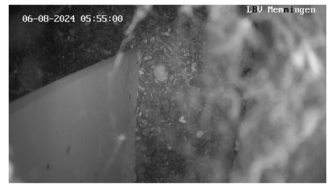 Screenshot_20240806_055630_Chrome