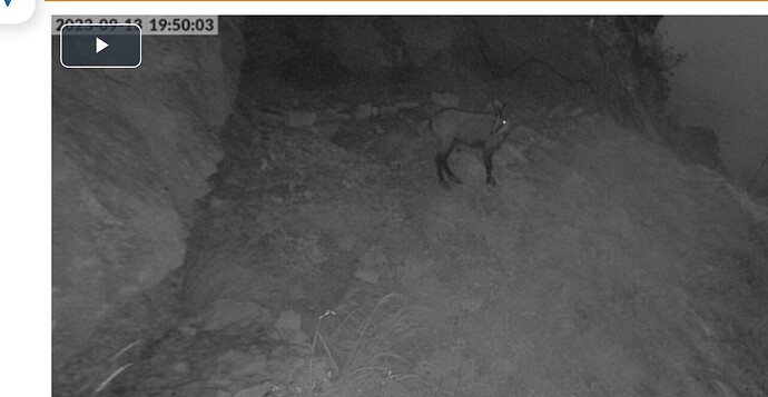 Screenshot_20230913-200252_Chrome