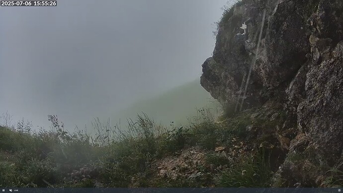 Screenshot (6408)