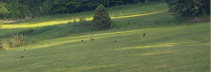 Snap_2025.05.02_18h47m53s_013_
