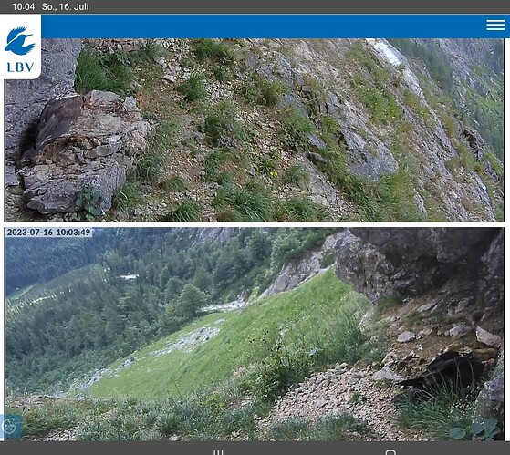 Screenshot_20230716-100436_Chrome