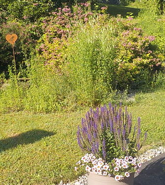 Snap_2026.06.21_08h30m52s_001_