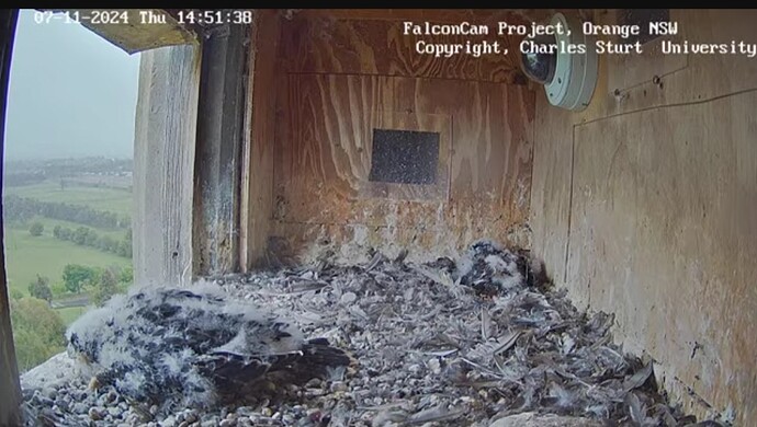 Screenshot_20241107_045157_Chrome