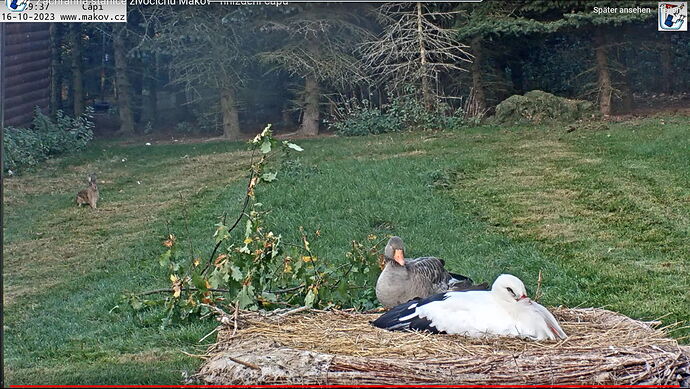 Snap_2023.10.16_17h40m11s_003_