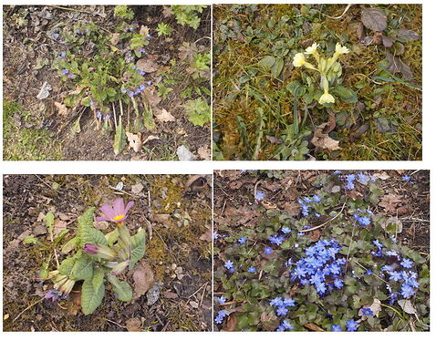 Snap_2026.03.20_13h02m32s_010_