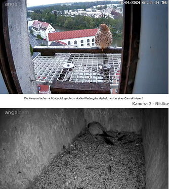 Snap_2024.04.18_06h37m07s_003_