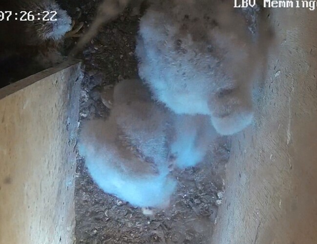 Screenshot_20240806_072752_Chrome