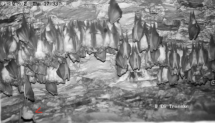 3 Vollbildaufzeichnung 04.12.2025 173349