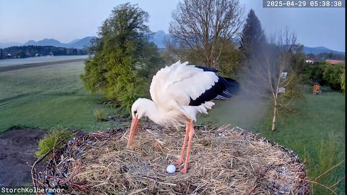 Screenshot_2025-04-29-05-39-01-254_com.google.android.youtube