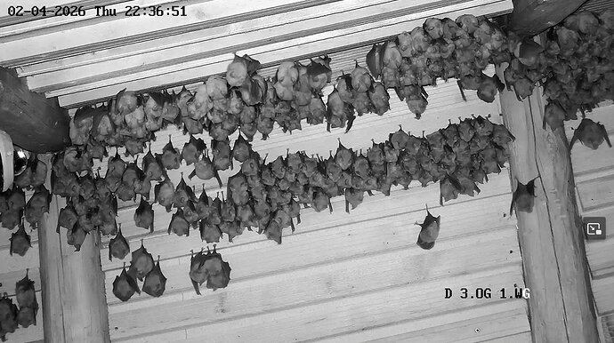 2026-04-02_2 veränderte Hängung in WG