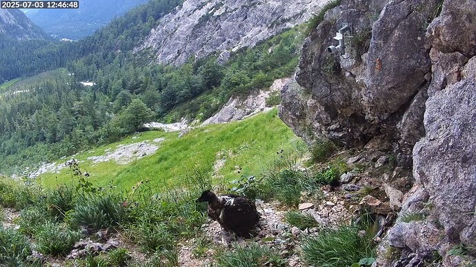 Bildschirmfoto vom 2025-07-03 12-47-09