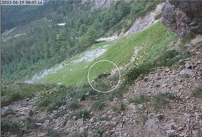 Screenshot_20230619_084757_Samsung Internet