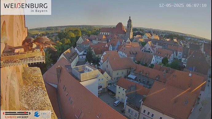 Screenshot (4151)