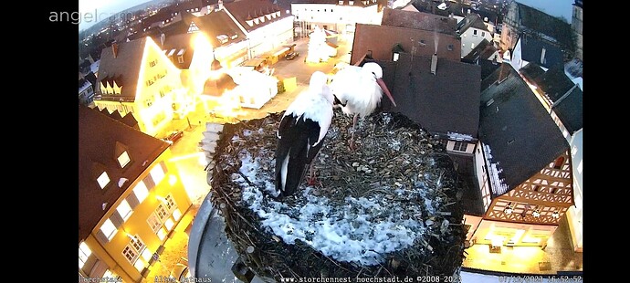 Screenshot_2023-12-07-16-53-14-78_40deb401b9ffe8e1df2f1cc5ba480b12