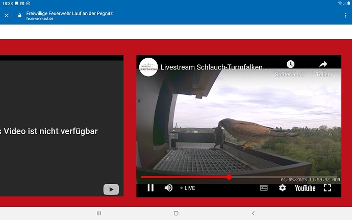 Screenshot_20230501-183846_Chrome