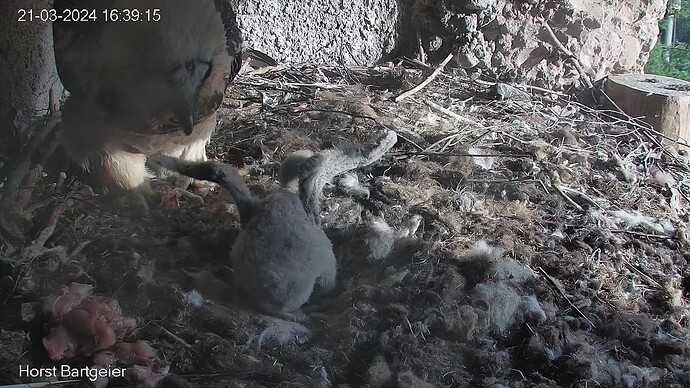 SnapShot-20240321_163920