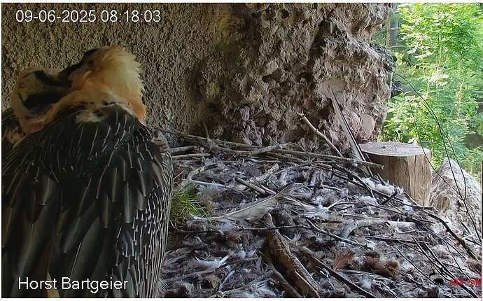 Zärtlichkeiten 09.06.25