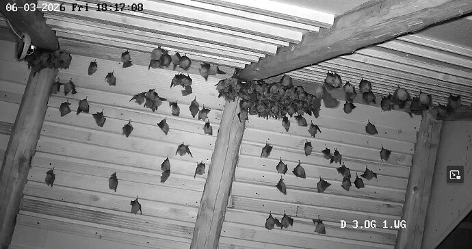 2026-03-06_2 ab 18.00 WG Zeit auszufliegen