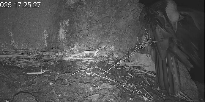 Screenshot_20251203-172631~2