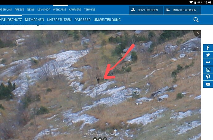 Screenshot_2022-10-31-13-08-41-586~3