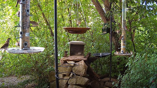 Snap_2024.07.23_13h08m51s_001_