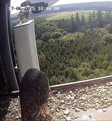 Screenshot_2025-06-17-10-39-56-843_com.android.chrome